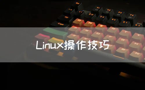 Linux操作技巧